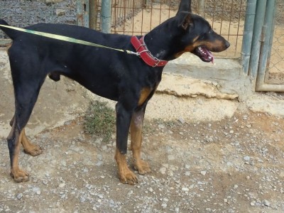 Afbeelding invoegen